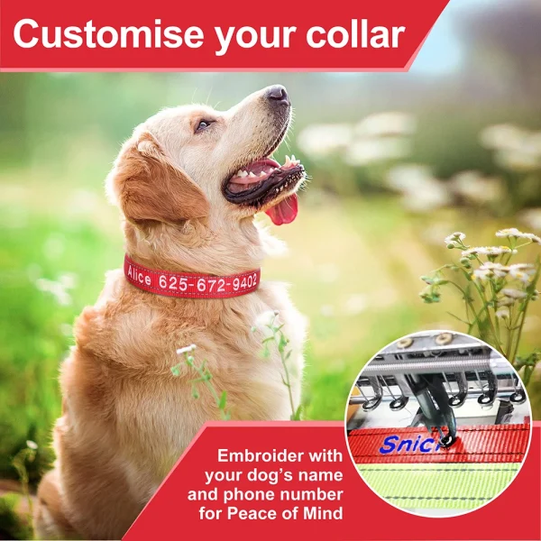 Personalized Embroidered Nylon Pet Collar