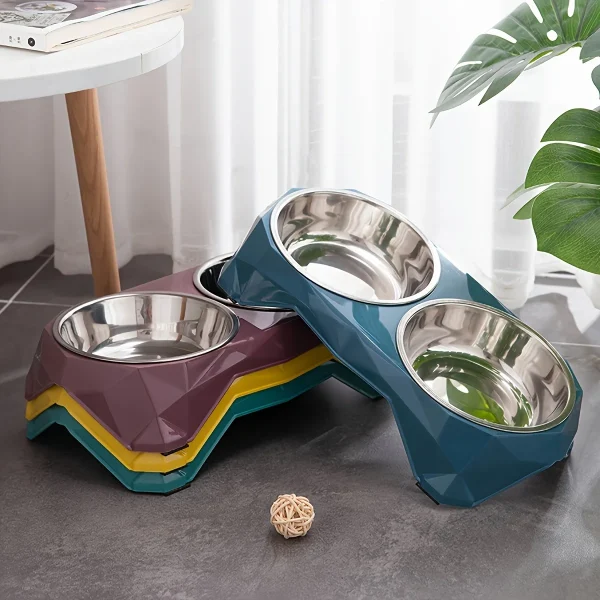 Raised Double-Bowl Feeding Set