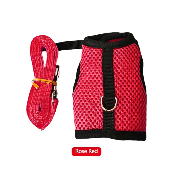 Small Animal Harness and Leash Set