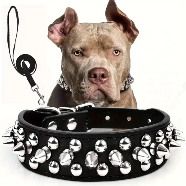 Leather Spiked Pet Collar And Leash Set