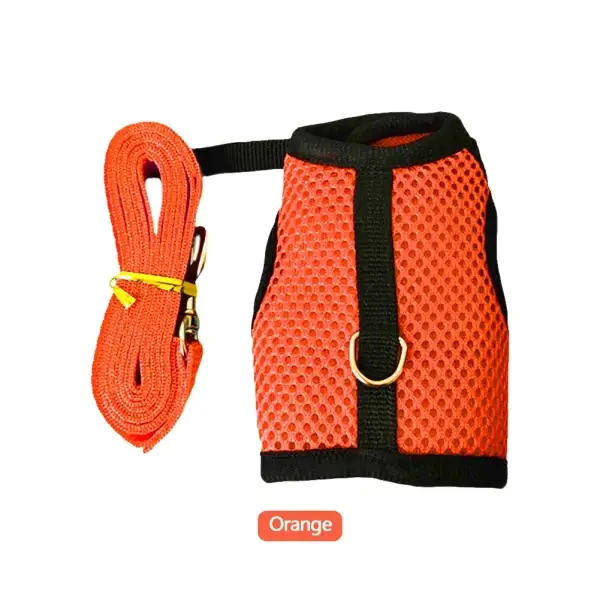 Small Animal Harness and Leash Set