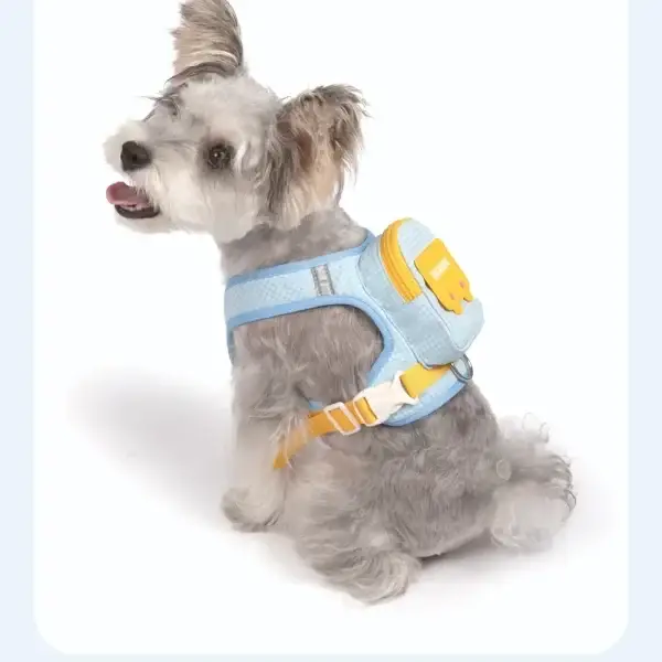 Practical Pet Backpack-Harness for Carrying Essentials