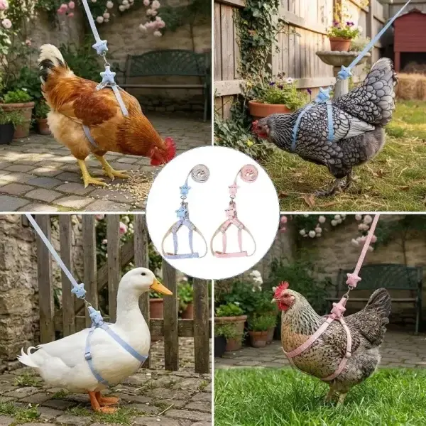 Poultry-Small Animal Harness and Leash