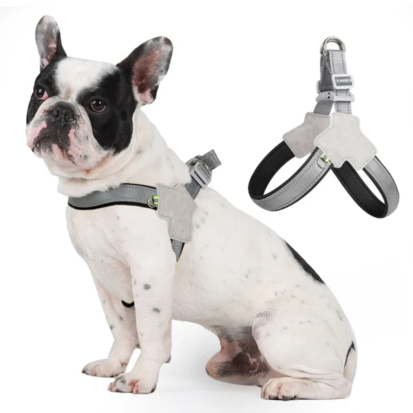 Reflective Comfortable Harness
