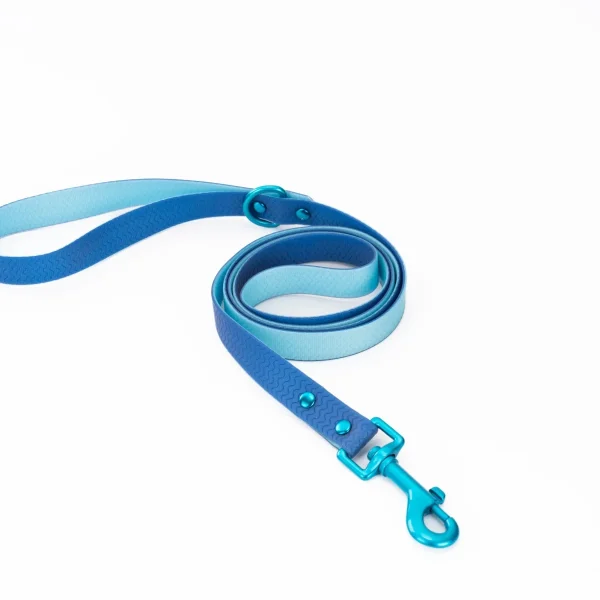 Two-Tone PVC Pet Leash