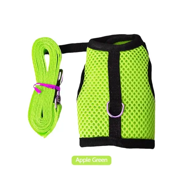 Small Animal Harness and Leash Set