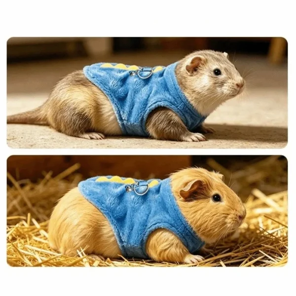Ferret-Guinea Pig-Squirrel Harness and Leash Set